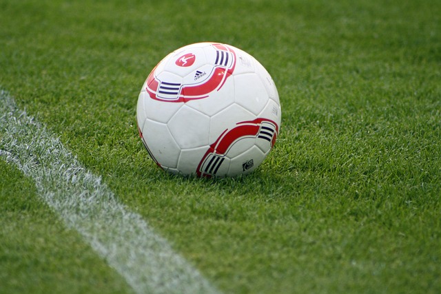 他们不仅展 他们不仅展