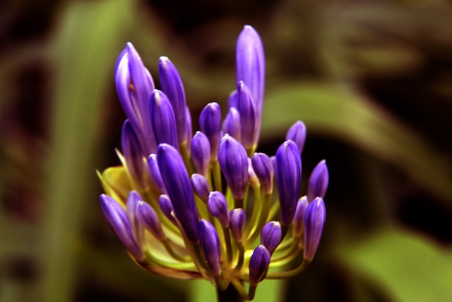 翰逊的健康 翰逊的健康