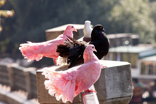 后的数据分 后的数据分