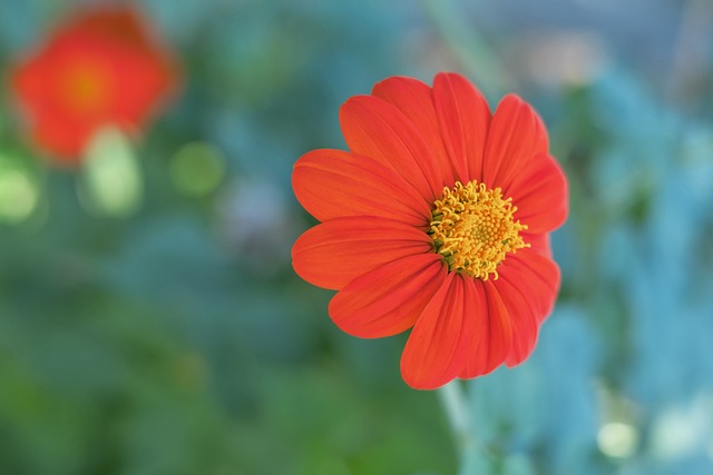 衡攻防两端 衡攻防两端