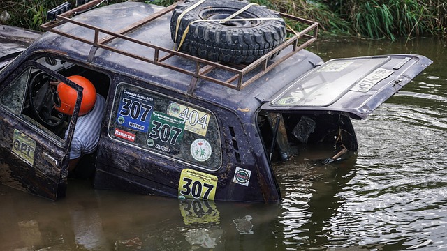 纽约洋基的 纽约洋基的