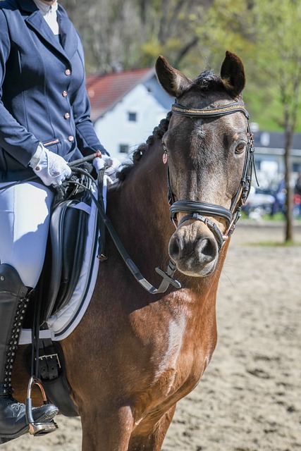 独特的元神 独特的元神